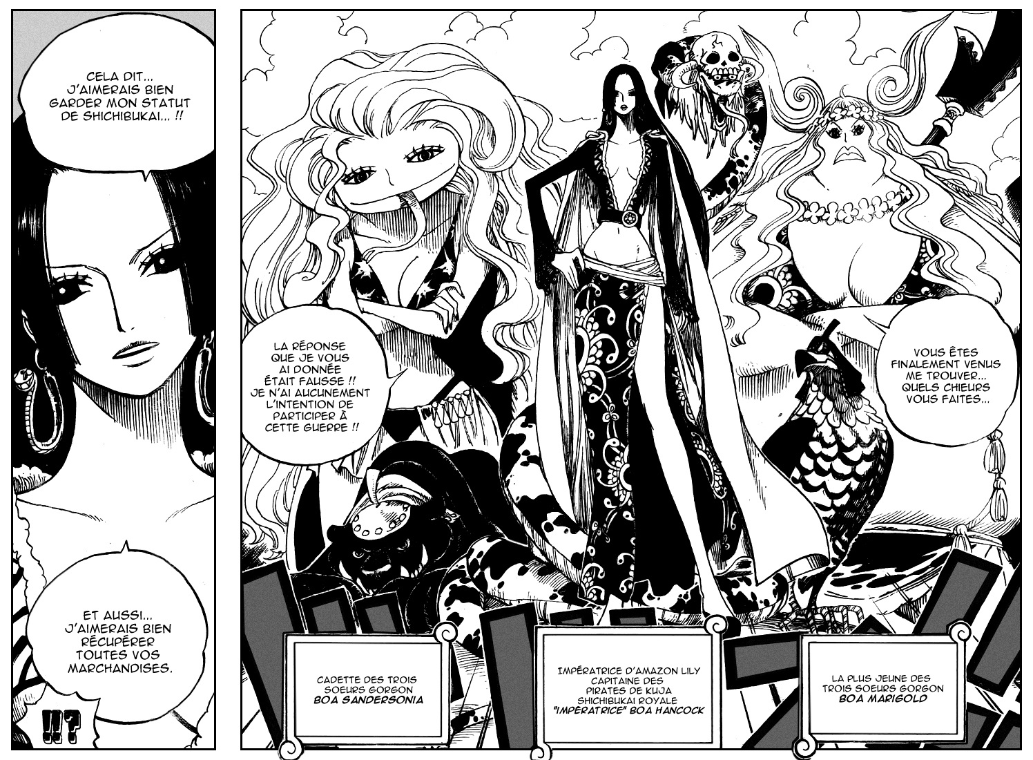 [HNT-CK]One Piece 516 11